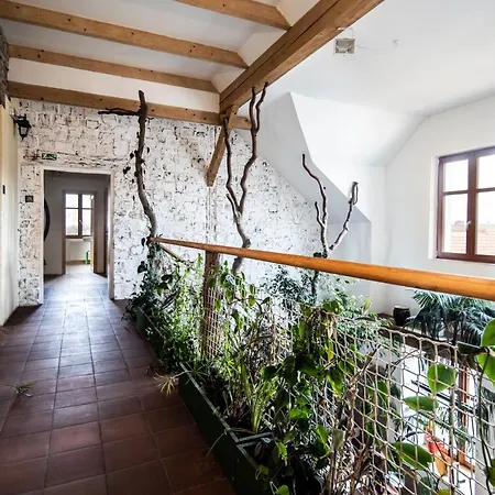 农家乐 Statek Lunikov Zizice