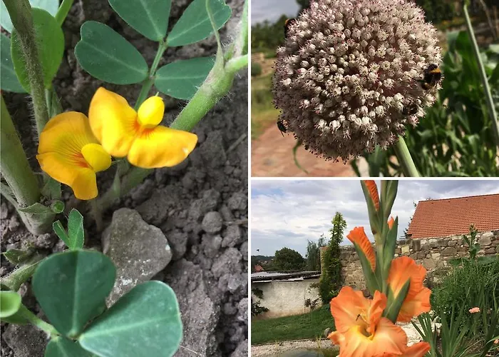 Statek Lunikov 农家乐