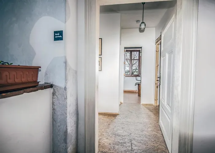 农家乐 Statek Lunikov *